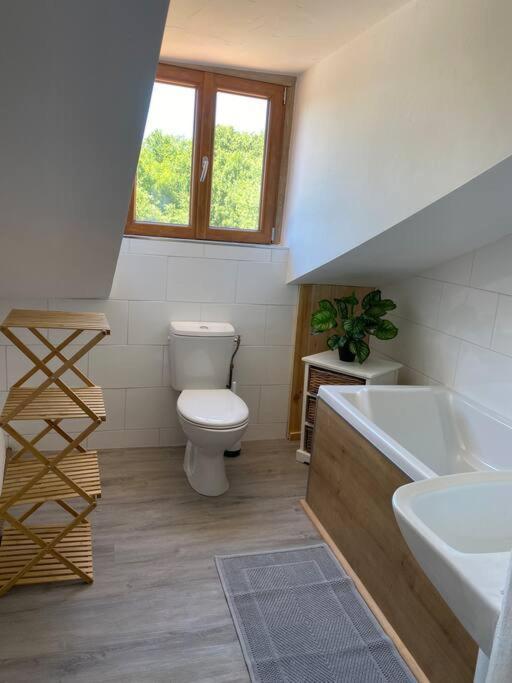 Spacious 1 Bed Home With Shared Pool Champagnac-la-Riviere Luaran gambar